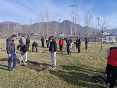 “Qəbələ” Futbol Akademiyasında ağacəkmə aksiyası - Fotolar