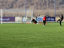 Gabala started training process - Photoreview