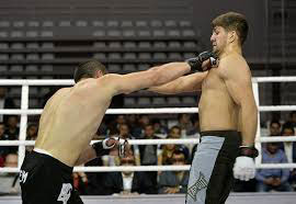 Abbasov and Aliyev hit MMA golds