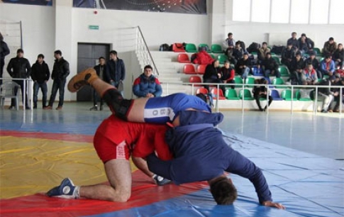 Sambo team striking 6 medals