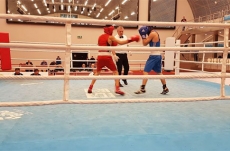 4 Gabala boxers struck medals