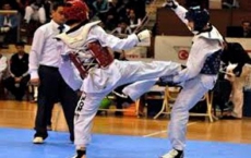 Taekwondo fighters hit 5 medals