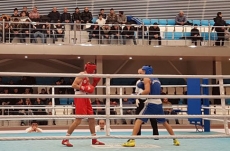 3 Gabala boxers hit medals in Baku boxing contest