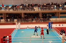 Gabala won 3 medals in domestic boxing cup