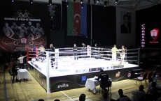 Gabala Fight Series writing notable night