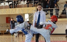 Gabala taekwondo heroes struck 5 medals