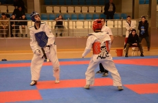Aghayev won national taekwondo gold